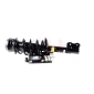 GH GH353610C12