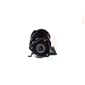 GH GH352549C06
