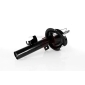 GH GH352549V