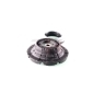 GH GH364705