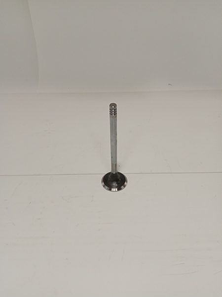 04284043 Exhaust valve 04284043R, , шт