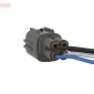 DENSO DM555