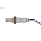 Denso DOX2066