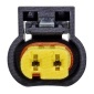 MTE-Thomson 9556