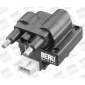 Beru ZS246