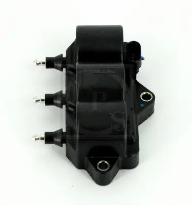 D536O06 