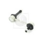 NPS T405A17