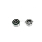 NPS M113A13A