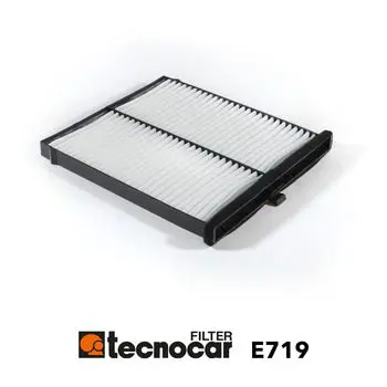 E719 