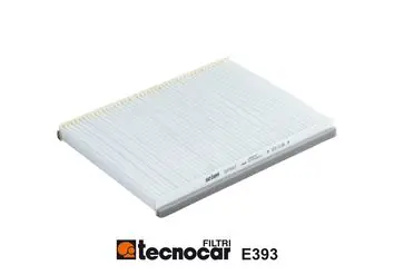 E393 