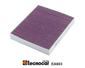 EA603 