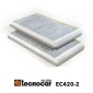 EC4202 