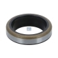 420176 DT SPARE PARTS Сальник вала КПП A0002670296