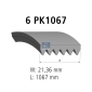 631511 DT SPARE PARTS Поликлиновой ремень