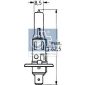 978109 DT SPARE PARTS Лампа накаливания, фара