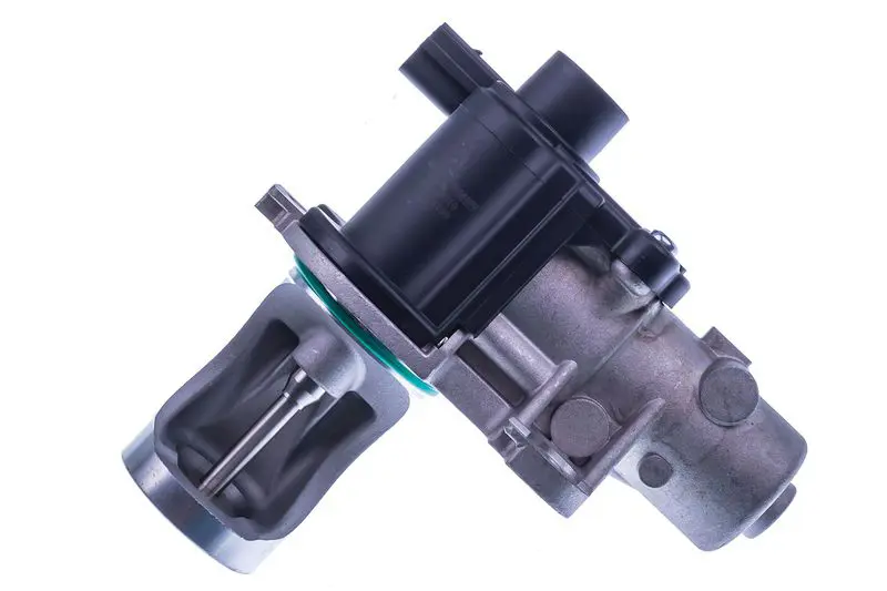 DENCKERMANN E400010 Клапан возврата ОГ