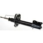 DSB209G 