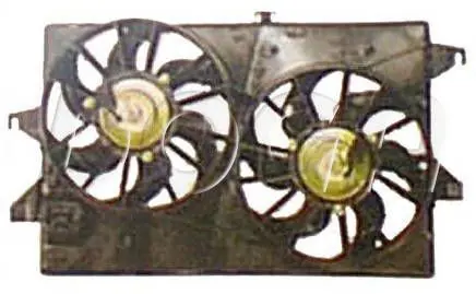 EFO055 