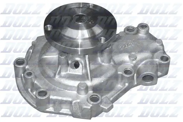 R165 DOLZ Насос водяной охлаждения