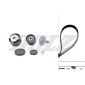 SKD046 Комплект ГРМ RENAULT: CLIO 1.4