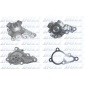 DOLZ T255