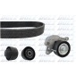 SKD206A DOLZ Комплект ГРМ OPEL: Vicaro 2.0D