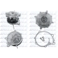 Dolz N133