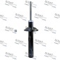 F210G1521 