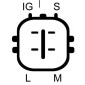 DRI 235183902
