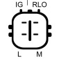DRI 2353181502