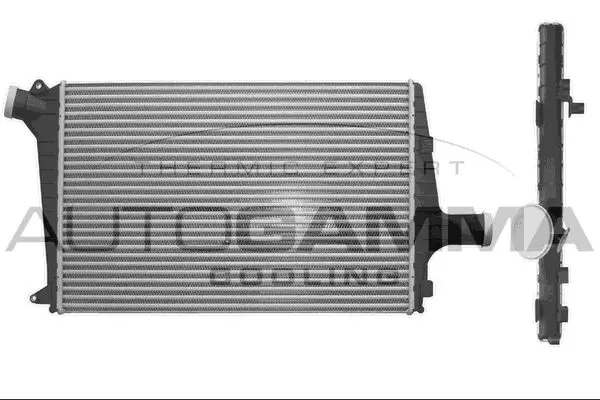  AUTOGAMMA 