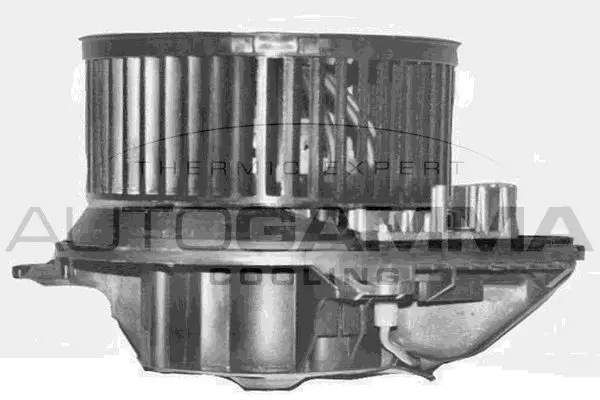 GA20374 