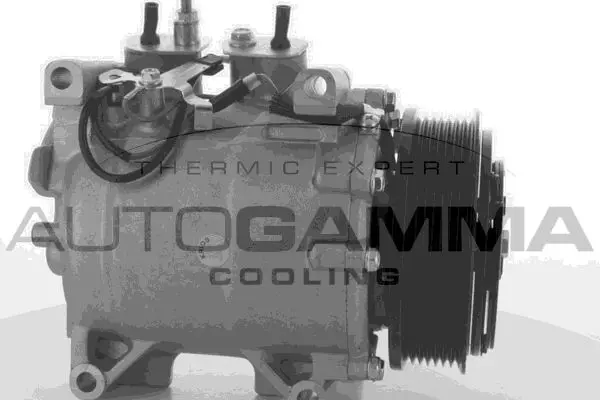  AUTOGAMMA 