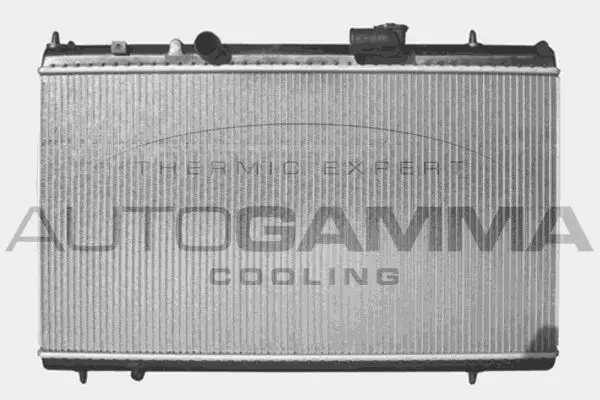  AUTOGAMMA 