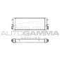 AUTOGAMMA 102503