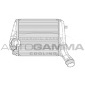 AUTOGAMMA 105376