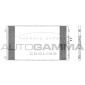 AUTOGAMMA 103618