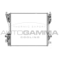 105753 AUTOGAMMA 