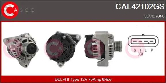 CAL42102GS 