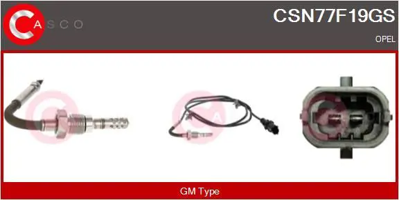 CSN77F19GS 