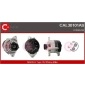 CAL30101AS 