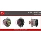 CAL15215GS 