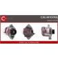 CAL44107AS 
