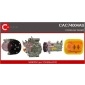 CAC74004AS 