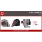 CAL10294GS 