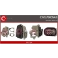 CVG73005AS CASCO EGR Valve