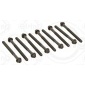 156700 Комплект болтов ГБЦ Renault,