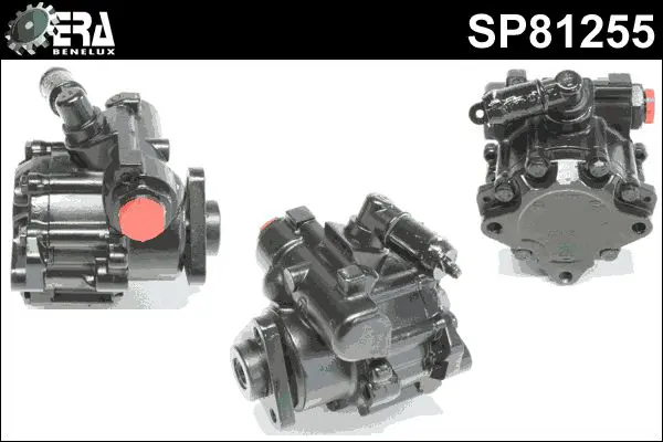 SP81255 