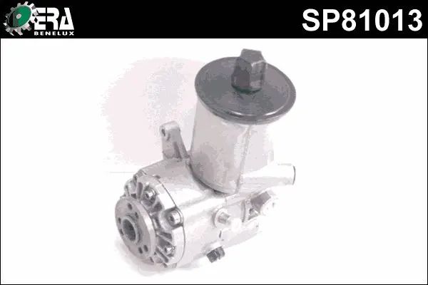 SP81013 
