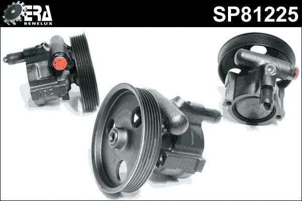 SP81225 